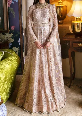 Afrozeh Sheemah Pakistani Net Anarkali