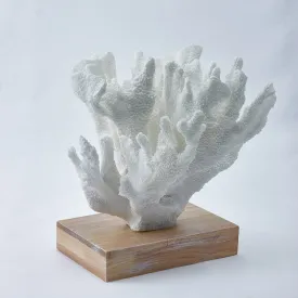 Coral Sculpture White