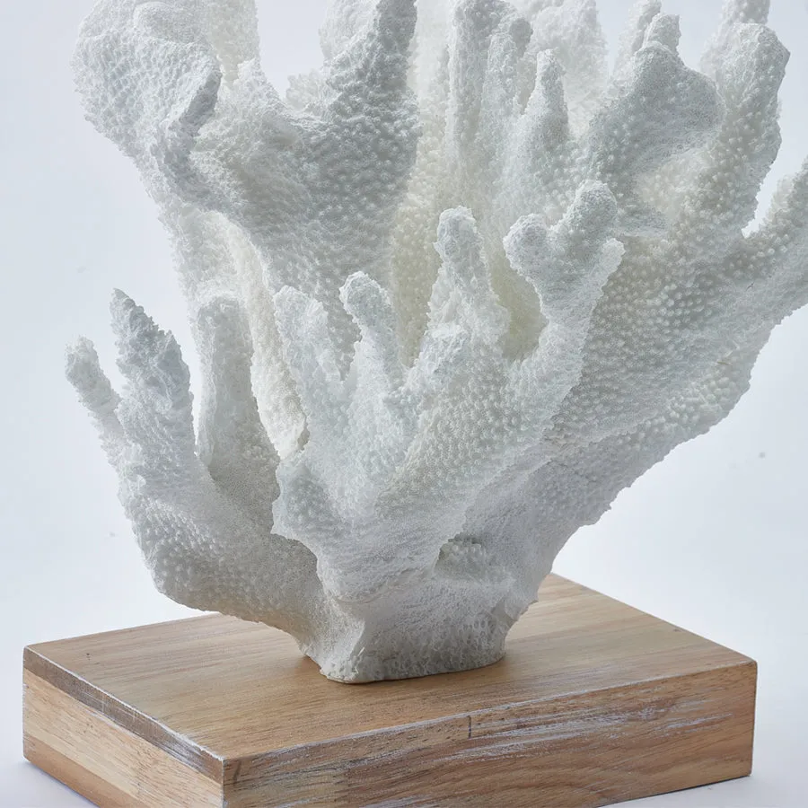 Coral Sculpture White