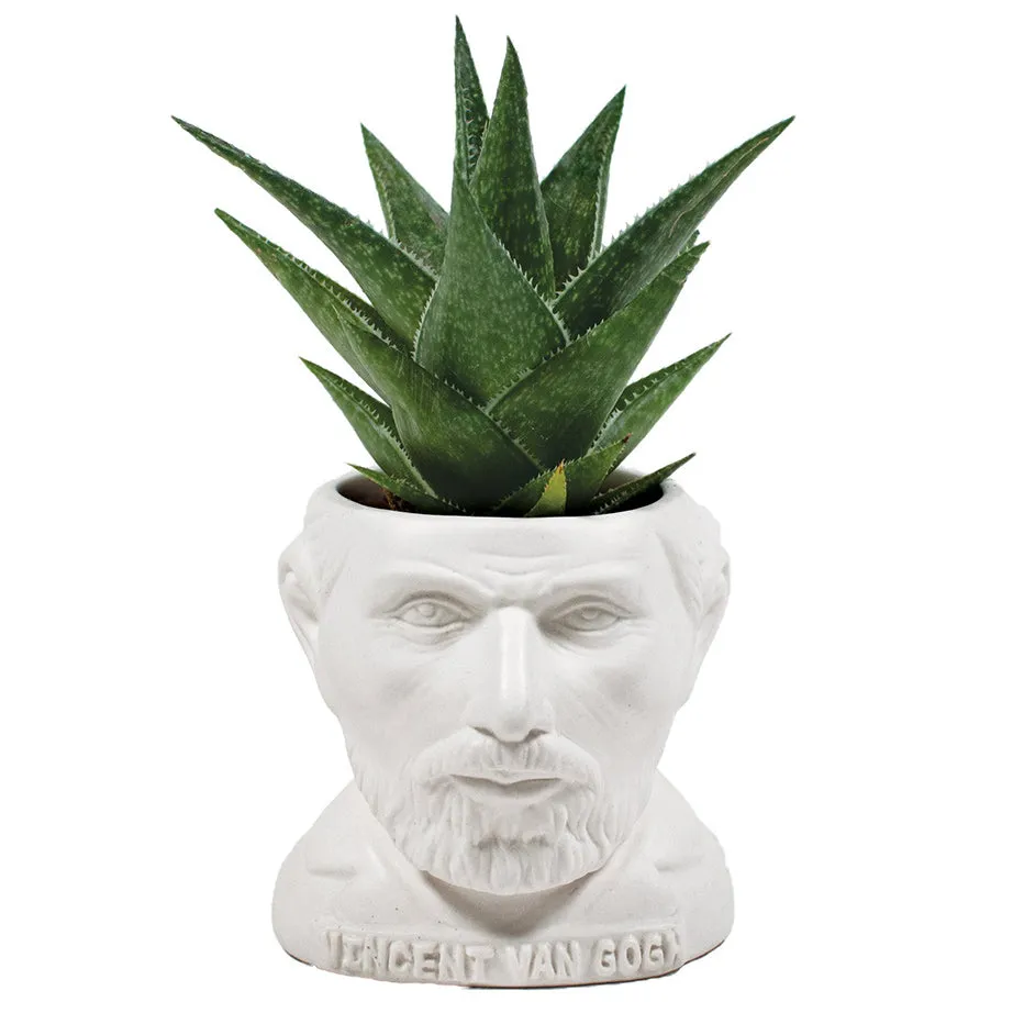 Fertile Minds Planters