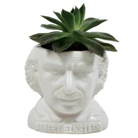 Fertile Minds Planters