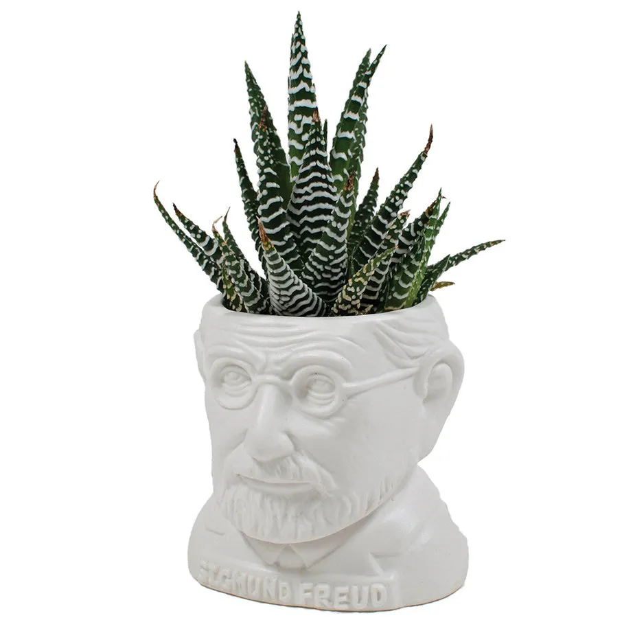 Fertile Minds Planters