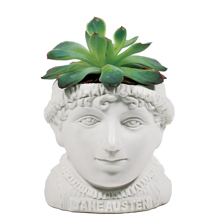 Fertile Minds Planters