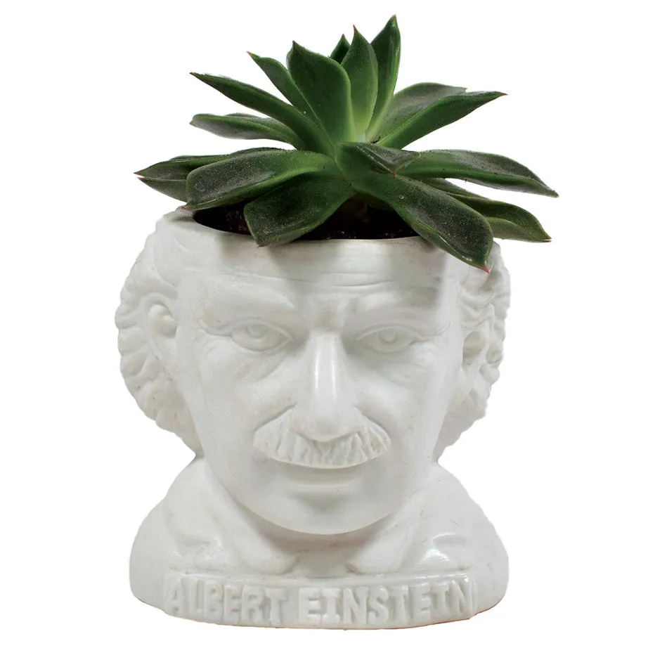 Fertile Minds Planters